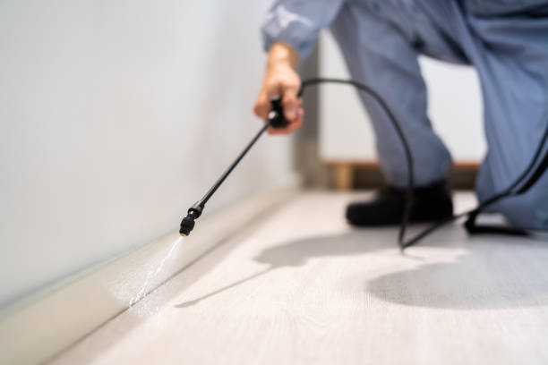 Licensed Fumigation Services service in Taylor County County, WV - Nex Pest Control